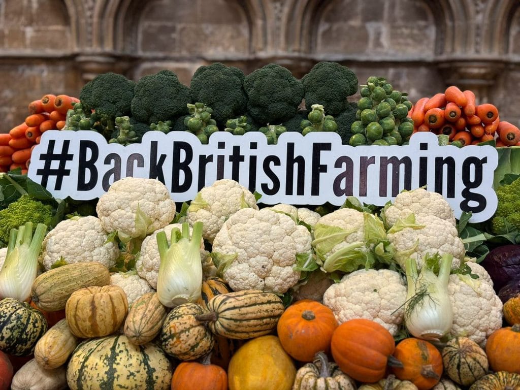 A pile of fresh veg holding a #backbritishfarming board